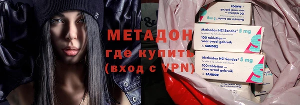 прущие грибы Беломорск