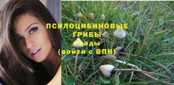 прущие грибы Беломорск