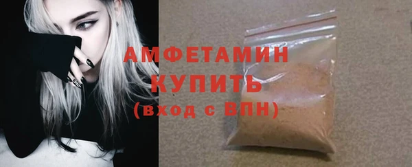 прущие грибы Беломорск