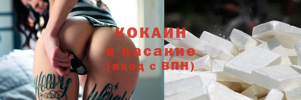 прущие грибы Беломорск