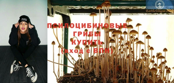 мяу мяу кристалл Богданович