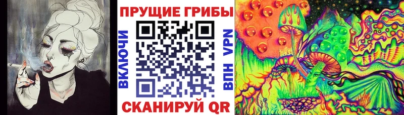 Галлюциногенные грибы GOLDEN TEACHER  цена   Велиж 